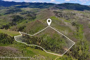 12123 Co Rd 313, New Castle, CO 81647 - Photo 5