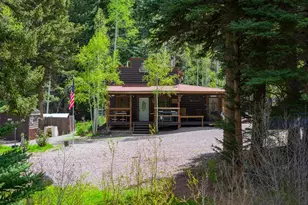 12123 Co Rd 313, New Castle, CO 81647 - Photo 3