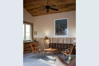 115 Meadowlark Lane, Aspen, CO 81611 - Photo 43