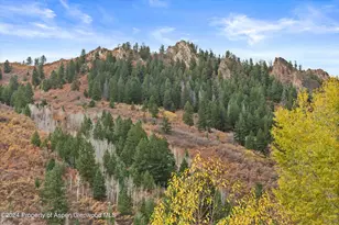 205 E Durant Ave, Aspen, CO 81611 - Photo 11