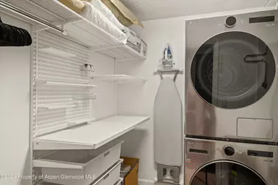 205 E Durant Avenue #1-C, Aspen, CO 81611 - Photo 9