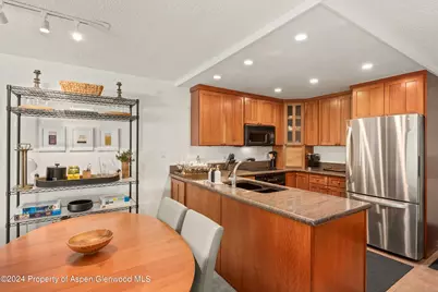 205 E Durant Avenue #1-C, Aspen, CO 81611 - Photo 5