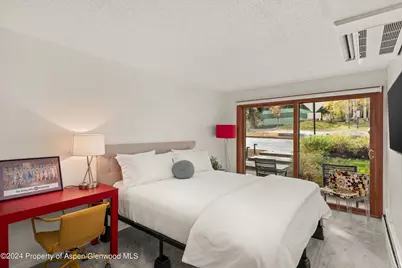 205 E Durant Avenue #1-C, Aspen, CO 81611 - Photo 7