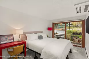 205 E Durant Ave, Aspen, CO 81611 - Photo 7