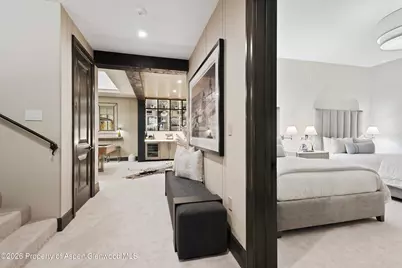 15 S Willow Court, Aspen, CO 81611 - Photo 47