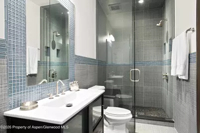 15 S Willow Court, Aspen, CO 81611 - Photo 55