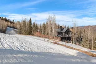15 S Willow Ct, Aspen, CO 81611 - Photo 61