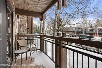 131 E Durant Avenue #104, Aspen, CO 81611 - Photo 9