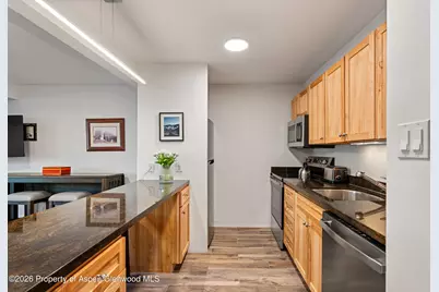 131 E Durant Avenue #104, Aspen, CO 81611 - Photo 5