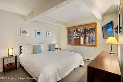 131 E Durant Avenue #104, Aspen, CO 81611 - Photo 7