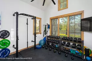 14 Silver Spruce Dr, Carbondale, CO 81623 - Photo 17