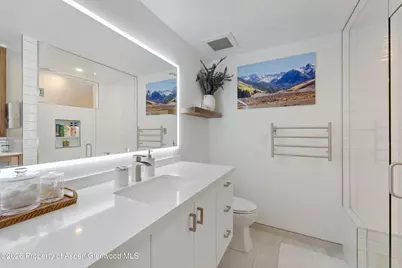 910 W Hallam Street #9, Aspen, CO 81611 - Photo 19