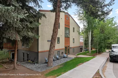 910 W Hallam Street #9, Aspen, CO 81611 - Photo 25