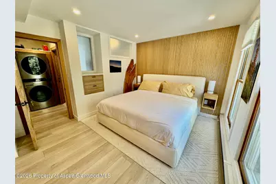 910 W Hallam Street #9, Aspen, CO 81611 - Photo 15