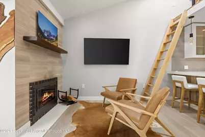 910 W Hallam Street #9, Aspen, CO 81611 - Photo 7
