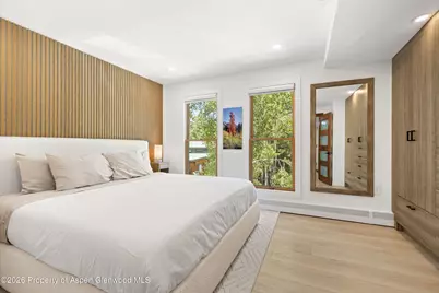 910 W Hallam Street #9, Aspen, CO 81611 - Photo 13