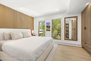 910 W Hallam St, Aspen, CO 81611 - Photo 13