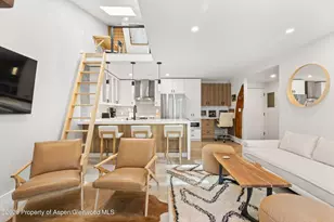 910 W Hallam St, Aspen, CO 81611 - Photo 5