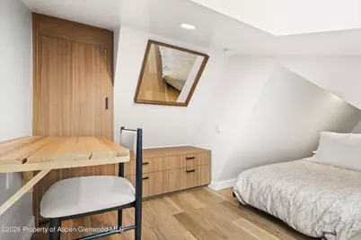 910 W Hallam Street #9, Aspen, CO 81611 - Photo 17