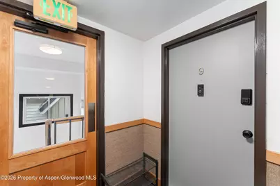 910 W Hallam Street #9, Aspen, CO 81611 - Photo 23