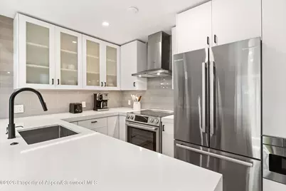 910 W Hallam Street #9, Aspen, CO 81611 - Photo 11