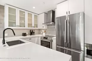 910 W Hallam St, Aspen, CO 81611 - Photo 11