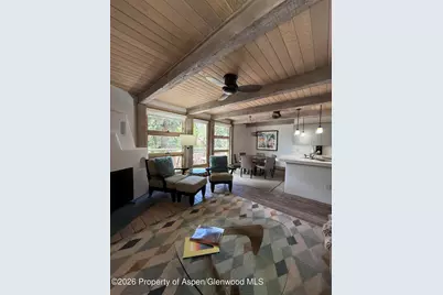 600 E Main Street #406, Aspen, CO 81611 - Photo 5