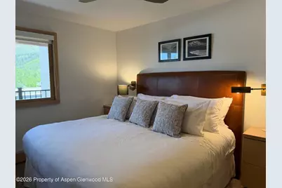 600 E Main Street #406, Aspen, CO 81611 - Photo 9