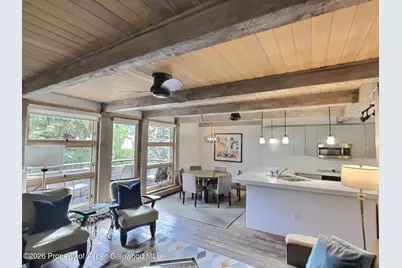 600 E Main Street #406, Aspen, CO 81611 - Photo 1