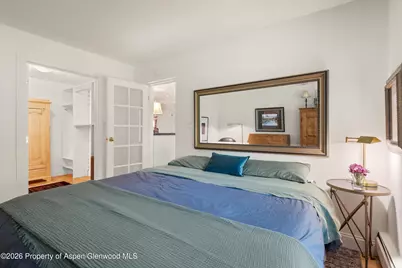 412 Vine Street, Aspen, CO 81611 - Photo 11