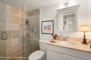 412 Vine St, Aspen, CO 81611 - Photo 19