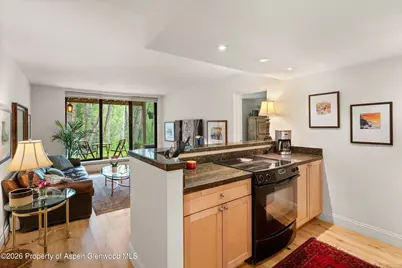 412 Vine Street, Aspen, CO 81611 - Photo 7