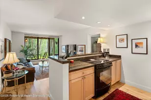 412 Vine St, Aspen, CO 81611 - Photo 7
