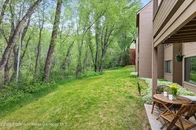 412 Vine Street, Aspen, CO 81611 - Photo 23