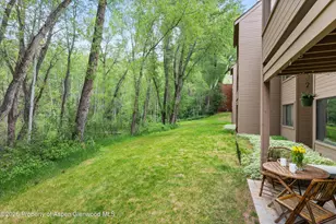 412 Vine St, Aspen, CO 81611 - Photo 23