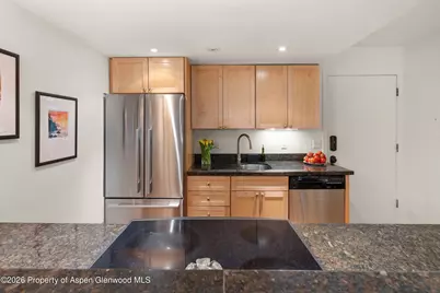 412 Vine Street, Aspen, CO 81611 - Photo 9