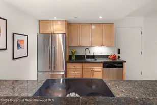 412 Vine St, Aspen, CO 81611 - Photo 9