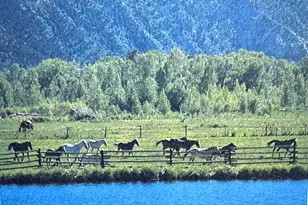 14913 Hwy 82, Carbondale, CO 81623 - Photo 33