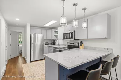 65 Campground Lane #90, Snowmass Village, CO 81615 - Photo 7