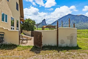 41990 Cottonwood Creek Rd, Crawford, CO 81415 - Photo 11