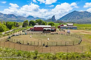 41990 Cottonwood Creek Rd, Crawford, CO 81415 - Photo 59