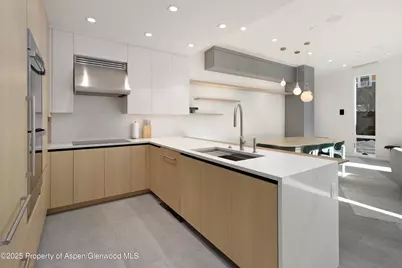 211 W Main Street, Aspen, CO 81611 - Photo 13