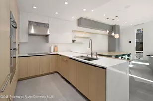 211 W Main St, Aspen, CO 81611 - Photo 13