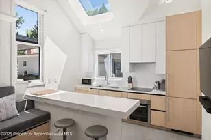 211 W Main St, Aspen, CO 81611 - Photo 41