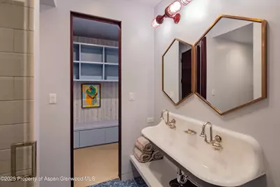 614 W North Street, Aspen, CO 81611 - Photo 19