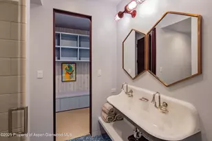 614 W North St, Aspen, CO 81611 - Photo 19