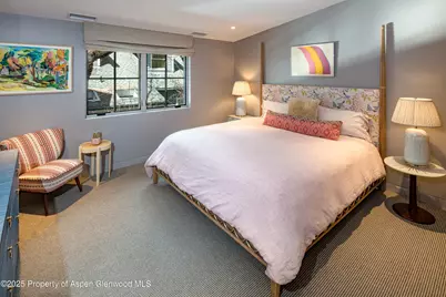614 W North Street, Aspen, CO 81611 - Photo 21
