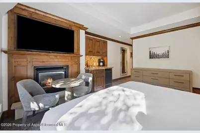 415 E Dean St. #32, Wk 9, Aspen, CO 81611 - Photo 17