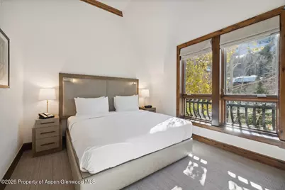 415 E Dean St. #32, Wk 9, Aspen, CO 81611 - Photo 13