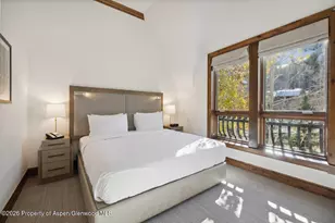 415 E Dean St #32 Wk 9, Aspen, CO 81611 - Photo 13
